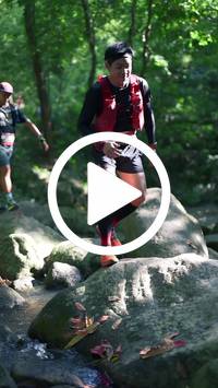 BIB:  <button type="button" onclick="openModal(28052951)" class="btn btn-primary btn-sm float-right" data-toggle="modal" data-target=".modal-high-quality">
                <i class="fa fa-download"></i> Download
                </button>